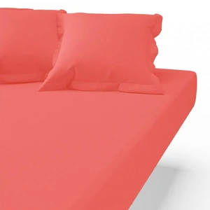 Drap housse coton Sanitized® TERTIO® -Corail pas cher