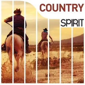 Comparateur de prix : WAGRAM Spirit of country