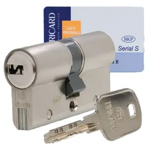 Comparateur de prix : Cylindre Serial S 30x30 mm fourni avec 4 clés - BRICARD - 4530070