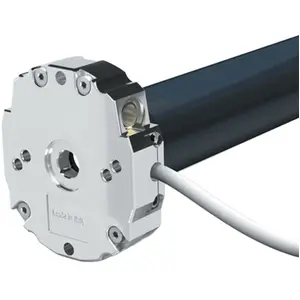 Moteur OCEANE 25 Nm 17 tours diamètre 45 mm CHERUBINI AMS45251700 pas cher