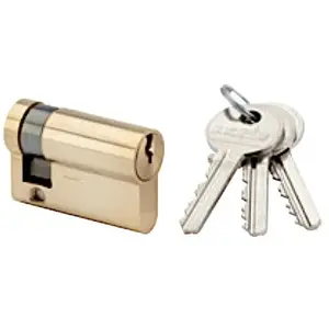 Comparateur de prix : Demi-cylindre finition laiton poli Laiton 10x30mm - RONIS - 1269 TU