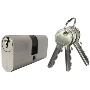Comparateur de prix : CISA Cylindre jpm double entrée ovale PO55 laiton nickelé fourni avec 3 clés - JPM - CIS08210,02