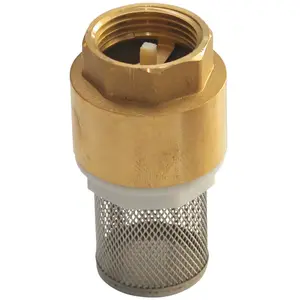 Comparateur de prix : Sferaco - Clapet anti-retour en laiton titré à crépine inox 1' (26/34)