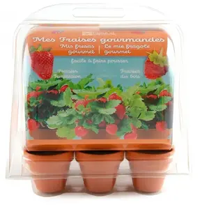 Comparateur de prix : Radis Et Capucine Mini serre avec 6 pots fraisiers