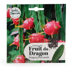 Fruit du Dragon à semer | Vilmorin Jardin pas cher