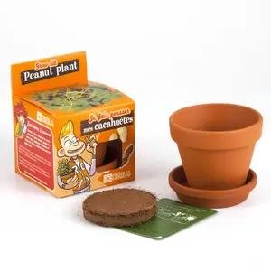 Comparateur de prix : RADIS ET CAPUCINE Cachuètes à semer Explore nature 0,000000 Mini Pot De Culture