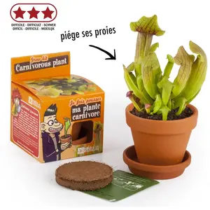 Comparateur de prix : Kit de plantation plante carnivore - Cadeau Maestro