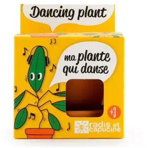 Comparateur de prix : RADIS ET CAPUCINE Graines de la plante qui danse, desmodium gyrans  0,000000 Fleur
