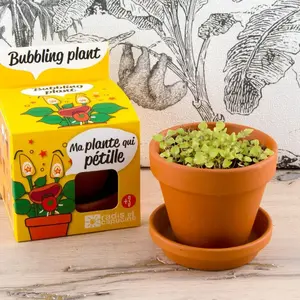 Comparateur de prix : RADIS ET CAPUCINE Pot avec coupelle - Plante qui pétille - 8 cm