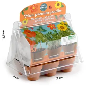 Mini serre 6 pots PET - Premier jardin pas cher