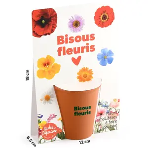 Carte message - Bisous fleuris - Mellifères pas cher