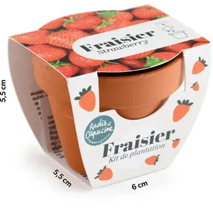 Mini kit 6 cm - Fraise pas cher