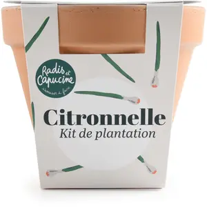 RADIS ET C Pot Terre cuite Antique - Citronnelle pas cher