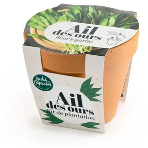 Radis Et Capucine - Pot en terre cuite antique - Ail des ours pas cher