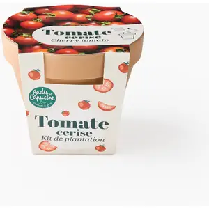 RADIS ET CAPUCINE Pot en terre cuite antique - Tomate cerise bio pas cher