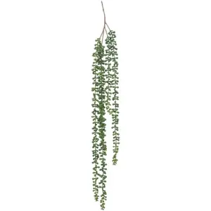 Comparateur de prix : Atmosphera Créateur D'intérieur - Plante artificielle tombante de senecon H37cm