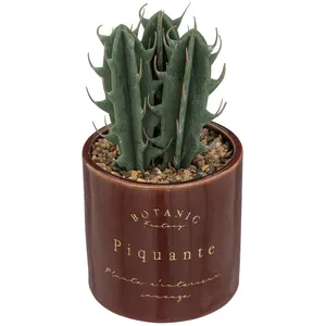 Comparateur de prix : Atmosphera - Plante Artificielle Bota - Pot en céramique - H10 cm