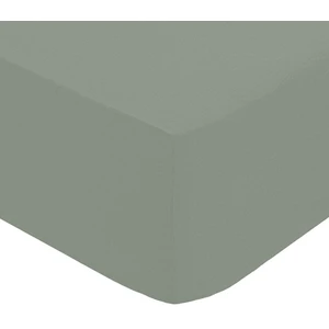 Atmosphera Créateur D'intérieur - Drap-housse percale vert 140x190cm