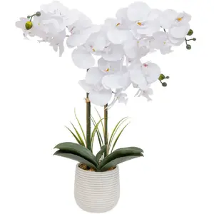 Comparateur de prix : ATMOSPHERA Plante artificielle Orchidée Blanche pot en céramique striée H 65 cm