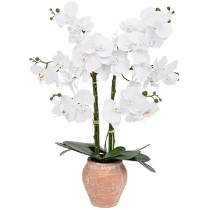 Comparateur de prix : ATMOSPHERA Créateur d'intérieur - Orchidée Artificielle en Pot Dena 65cm Blanc