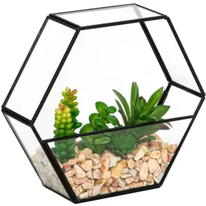 Comparateur de prix : Atmosphera Créateur D'intérieur - Terrarium artificiel Pia noir H20cm