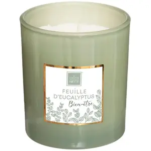 Atmosphera Créateur D'intérieur - Bougie parfumée Mael eucalyptus 190g