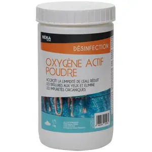 Intex - Oxygène Actif Poudre pas cher
