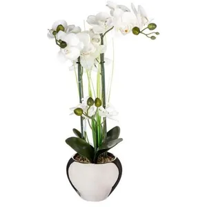 Comparateur de prix : Atmosphera - Orchidée Artificielle - Vase Argent en céramique - H53 cm
