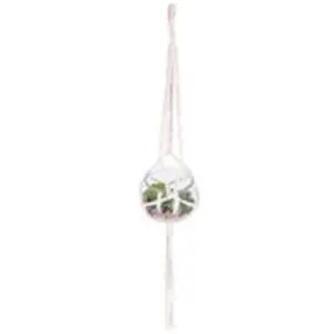 Plante artificielle à suspendre pot verre H8cm - Atmosphera créateur d'intérieur pas cher