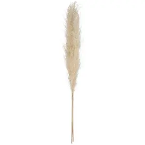 Comparateur de prix : 3 fleurs séchées Pampa naturelle H110cm - Atmosphera créateur d'intérieur