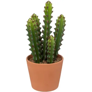 Comparateur de prix : Atmosphera Créateur D'intérieur - Cactus artificiel Ali rose terracotta H25cm