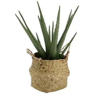 Comparateur de prix : ATMOSPHERA Créateur d'intérieur - Plante Artificielle & Pot Aloe Vera 37cm Vert
