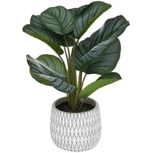 Atmosphera - Maranta artificiel - pot ciment H45 cm pas cher