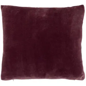 Comparateur de prix : Coussin Ollis violet clair 38x38cm - Atmosphera createur dinterieur