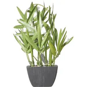 Comparateur de prix : Atmosphera Créateur D'intérieur - Bambou artificiel pot céramique H26cm
