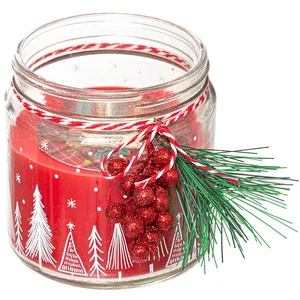 FEERIC LIGHTS & CHRISTMAS Bougie Parfumée Pot en verre imprimé avec déco 315 G pas cher