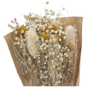 Comparateur de prix : Atmosphera Créateur D'intérieur - Bouquet fleurs séchées Chardon H48cm