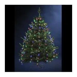 Comparateur de prix : AC-DECO Guirlande lumineuse pour sapin 170 LED - D 8 cm x H 165 cm - Multicolore