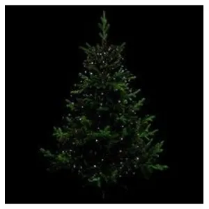 Comparateur de prix : AC-DECO Guirlande lumineuse pour sapin 170 LED - D 8 cm x H 165 cm - Blanc froid