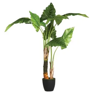 Comparateur de prix : Atmosphera - Bananier artificiel H120 cm