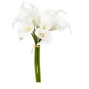 Comparateur de prix : Atmosphera Bouquet de Fleurs artificielles 8 Arums blanches H 36 cm