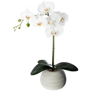 Comparateur de prix : Orchidée artificielle pot ciment H53cm Atmosphera Créateur D'intérieur