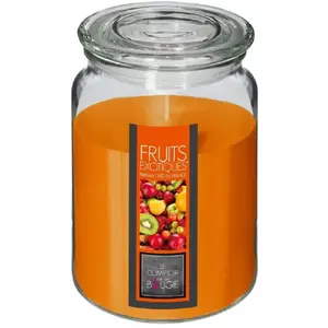 Comparateur de prix : Atmosphera Créateur D'intérieur - Bougie parfumée fruits exotiques 510g