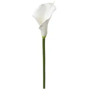Comparateur de prix : Atmosphera Créateur D'intérieur - Tige d arum artificiel blanc H75cm
