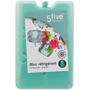 Electrodepot Bloc refrigerant 200ml 16X11X1.5CM coloris assortis pas cher