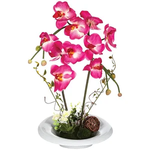 Atmosphera Composition orchidée en vase H46 fushia pas cher