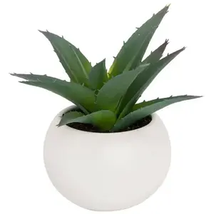 Plante grasse en pot H13 Atmosphera créateur d'intérieurVendu parcarrefour