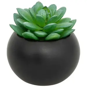 Atmosphera Créateur D'intérieur - Plante grasse en pot H13Vendu parcarrefour