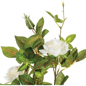 Comparateur de prix : Rosier en pot - Atmosphera - H50 - Blanc - Rond - Plastique