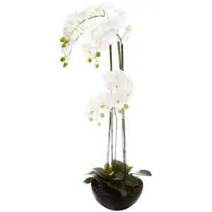 Comparateur de prix : Atmosphera Créateur d'intérieur - Plante Artificielle Orchidée 115cm Blanc